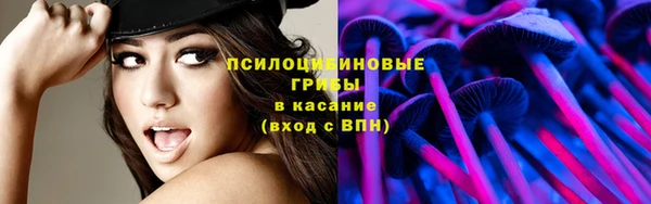 эйфоретик Беломорск