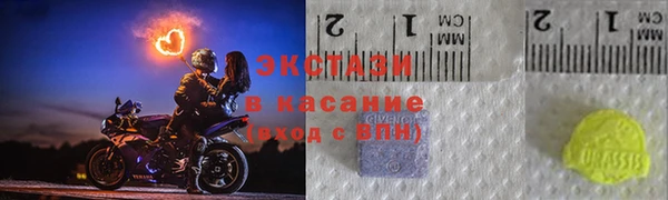 индика Елизово