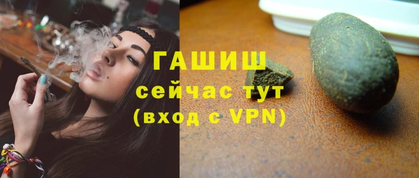 2c-b Инсар